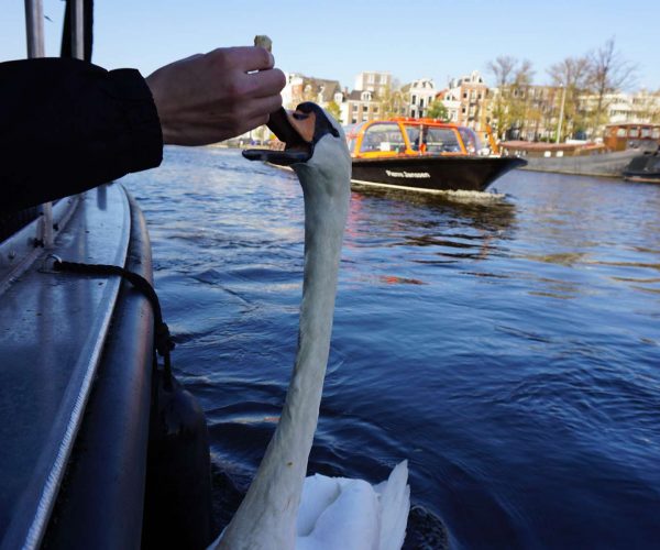 Morning-Cruise-Amsterdam-Boat-Tour