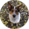 court hyer Avatar
