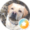 Traci Schwartz Avatar