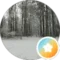 Max Palmer Avatar